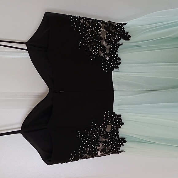 Mint and Black Applique Fitted Gown - Picture 7 of 7